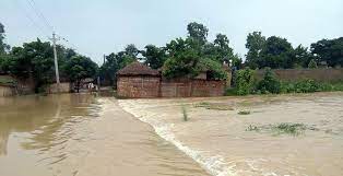 उपत्यकामा अविरल वर्षा : ३८५ घर डुबानमा, २४७ जनाको उद्धार