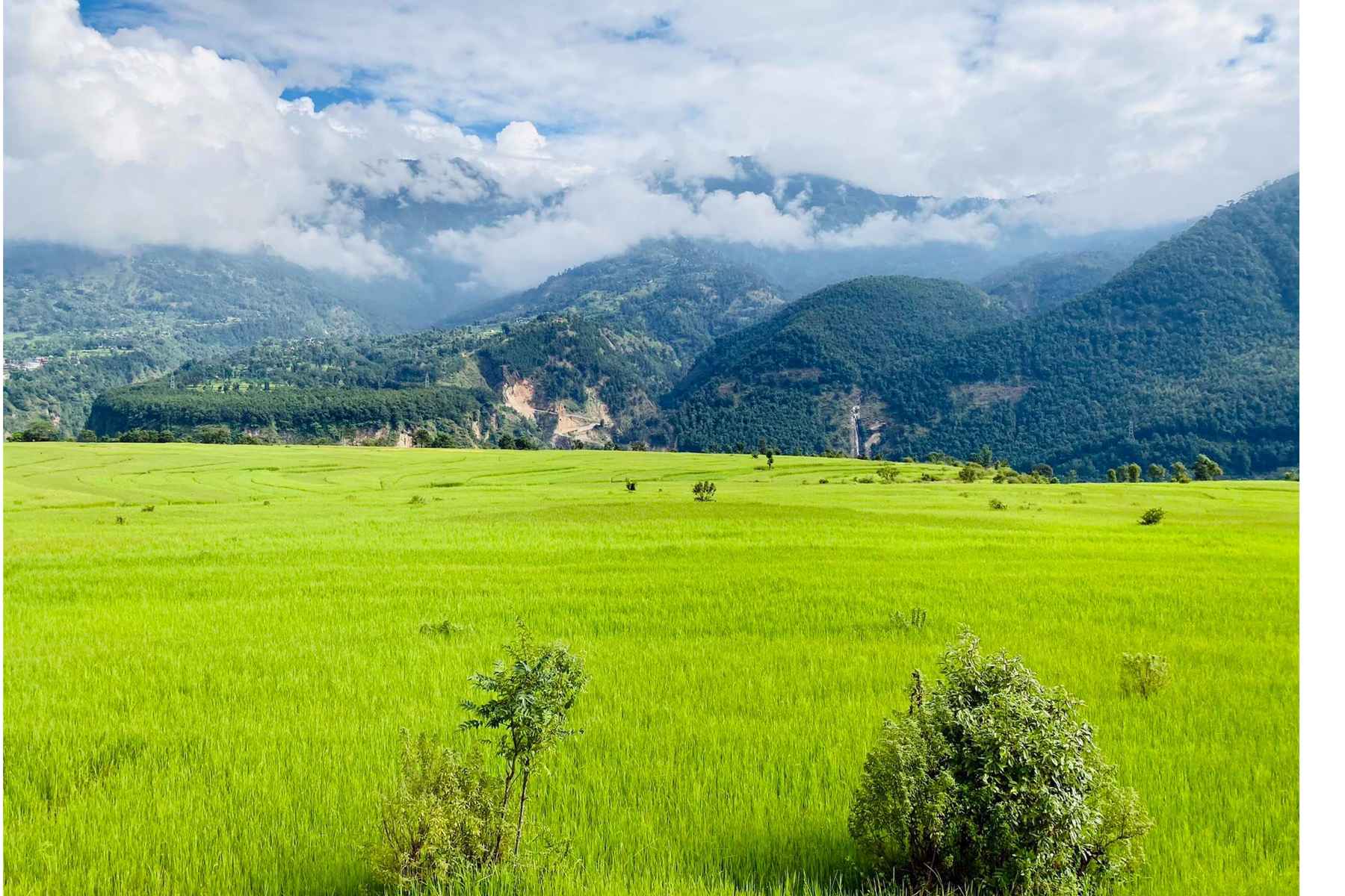 बागलुङको दम्का फाँट