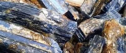 रोकियो तामाखानीको अध्ययन