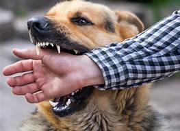 ‘रेबिजमुक्त काभ्रे’को प्रतिबद्धता