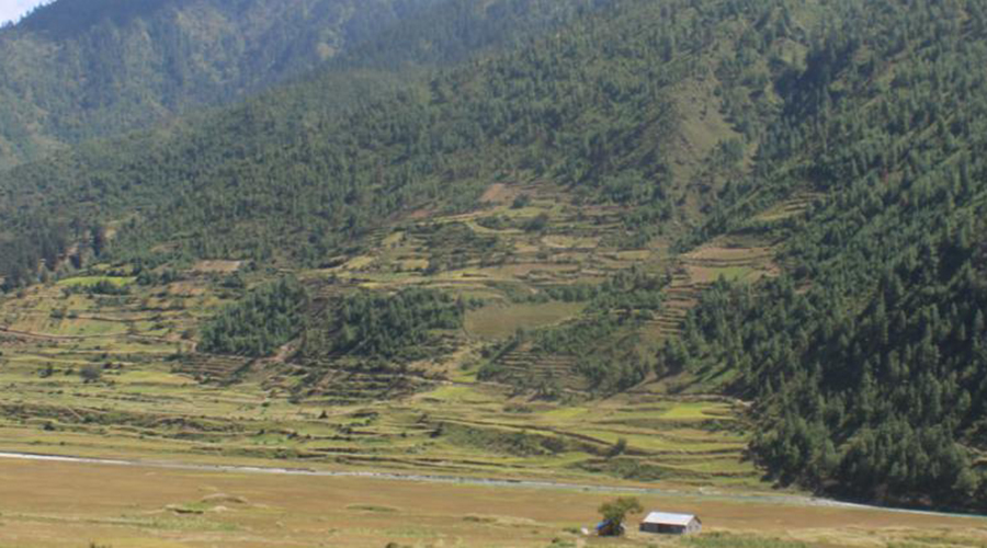 एक शताब्दीपछि धानखेत बगर बनेपछि...