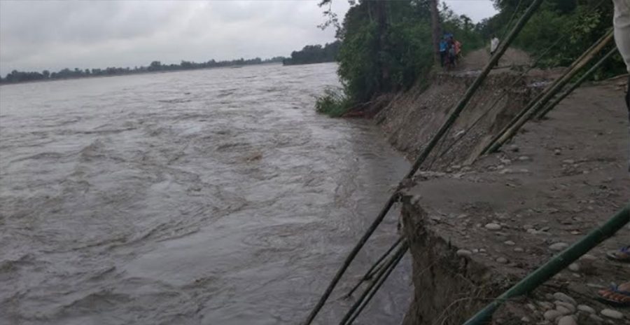 नदी कटान रोक्न जैविक तटबन्ध निर्माण