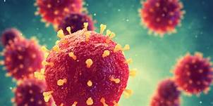 तनहुँका पाँच स्थानीय तह कोरोनामुक्त