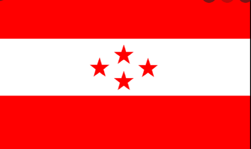 यसरी सक्रिय हुँदैछन् उद्योगी कांग्रेसका राजनीतिमा