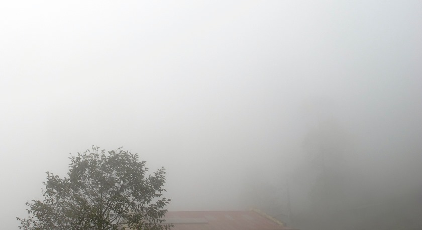 मङ्सिरमै तराईमा लगलगी कमाउने जाडो