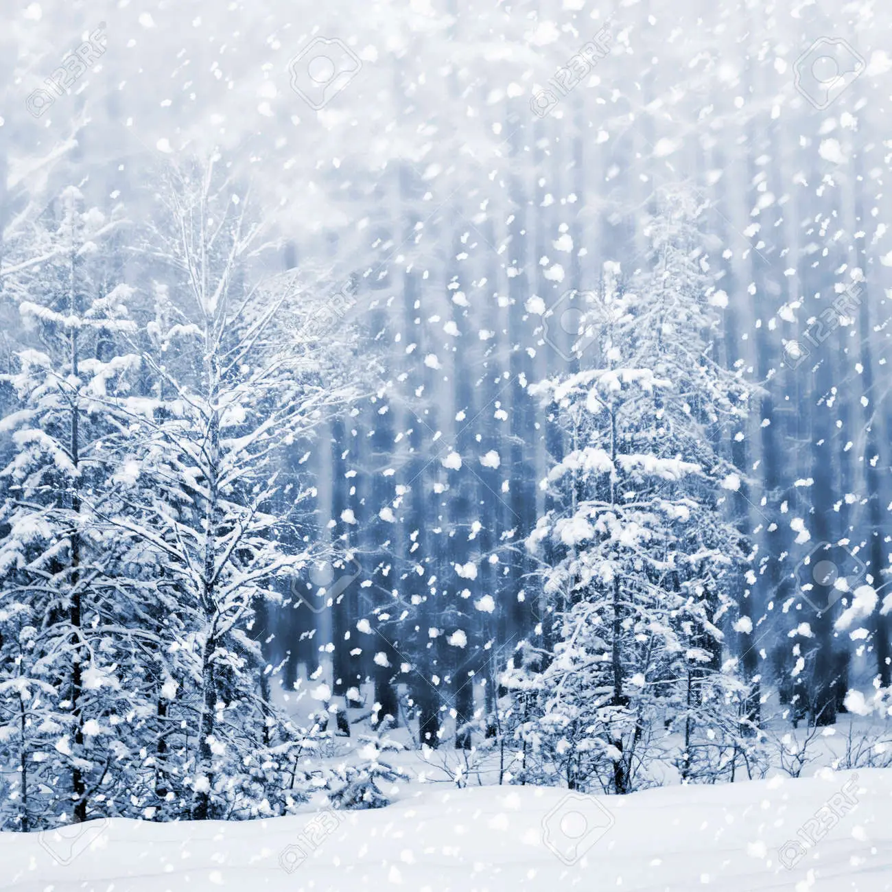 शुक्रबारदेखि हिमपातको सम्भावना