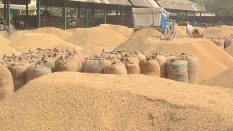 मूल्य निर्धारण भएपछि धान बिक्री गर्न किसानको भीड