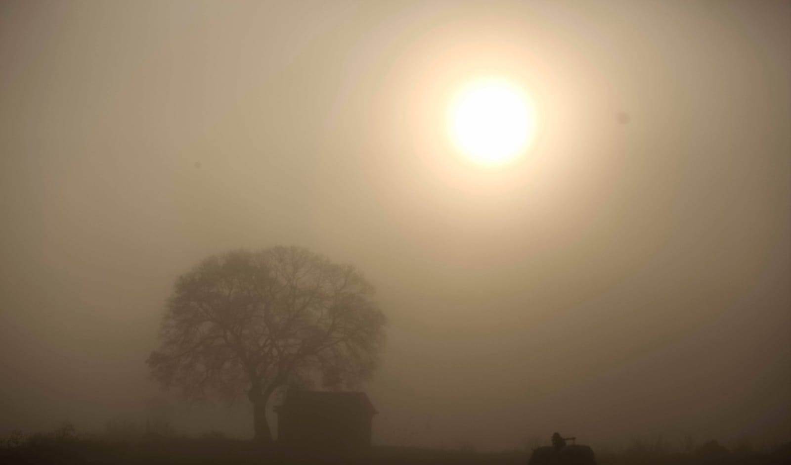 हुस्सु नफाटेपछि तरकारी खेती गर्ने किसान हैरान