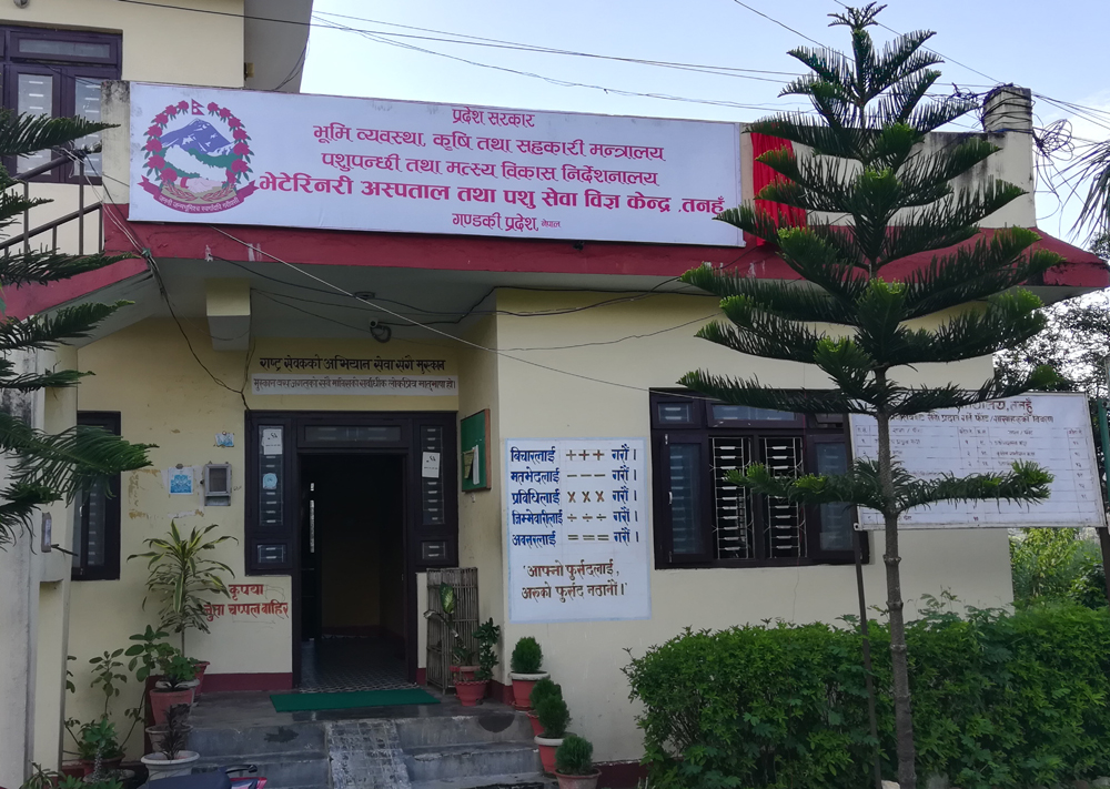 पाडीबाच्छी हुर्काउने किसानलाई अनुदान