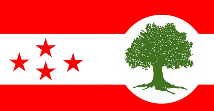 स्थानीय तह निर्वाचन: ‘घर–घर जाऔँ, कांग्रेस जिताऔँ’