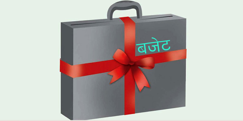 चालु आर्थिक वर्षमा ९.९४ प्रतिशत खर्च