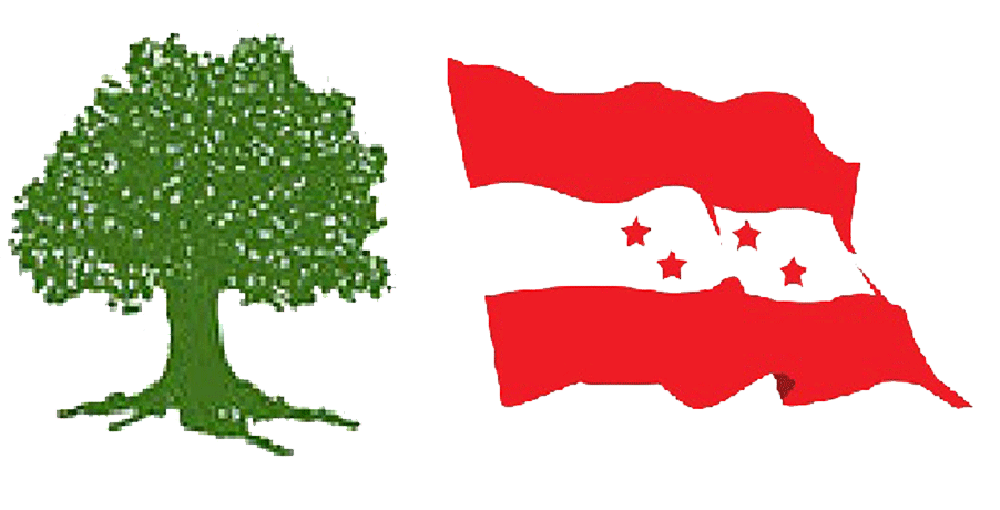 कांग्रेस प्रदेश प्रतिनिधिले बुझाउन थाले प्रतिवेदन