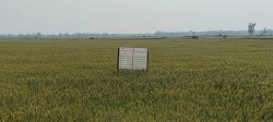  ‘सुपर जोन र जोन कार्यक्रम’ले उत्पादन बढायो