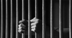 कञ्चनपुर लागूऔषधको अखडा : एघार महिनामा दुई ५५ जना पक्राउ