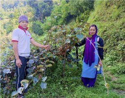 उत्पादन बढाउन कृषकलाई भत्ता