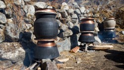 पसलैपिच्छे घरेलु मदिरा 