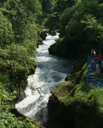 डेभिज फल्स (पातले छाँगो)  अवलोकन गर्ने पर्यटक बढे