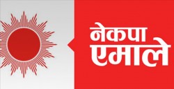 एमालेले डाक्यो नवनिर्वाचित सांसद र उम्मेदवारको भेला