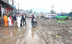 ट्राफिक व्यवस्थापनमा समस्या