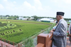 प्रधानमन्त्री ओलीद्वारा धान उत्पादन विशेष क्षेत्रको अवलोकन