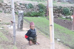 शारीरिक अपाङ्गता भएका युवराज कृषि कर्ममा रमाउँदै