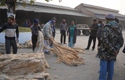 श्रमिक र उद्योगको समस्या बुझ्न नेकपा (एमाले)की  सांसद भगबती चौधरी औद्योगिक क्षेत्रमा