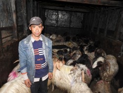 साइपालका च्याङ्ग्रा पोखरामा: ‘ पोखरा पुग्दासम्मको दुःख भनेर सम्भव छैन’