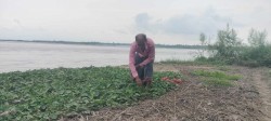कुतियाकबरमा भारतीयको लोभलाग्दो तरकारी खेती, मनग्य आम्दानी