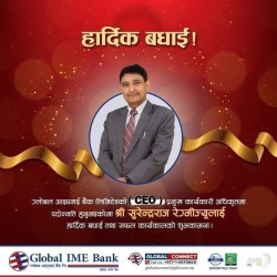 ग्लोबल आइएमई बैंकको प्रमुख कार्यकारी अधिकृतमा रेग्मी