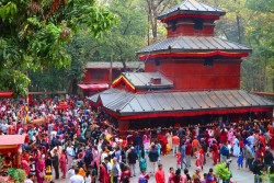  चैतेदसैँमा मात्रै ४२ लाख भेटी सङ्कलन