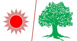 समानुपातिक : छ प्रदेशमा एमाले, एक कांग्रेस अगाडि