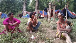 कञ्चनपुरका बाढीपीडितको जङ्गलको बास