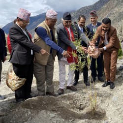 वृक्षरोपणपछि जल सिञ्चन: मुख्यमन्त्री पोखरेल