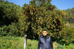  सुन्तला बेचेरै तिलक गुरुङले छोराछोरीलाई इन्जिनियर र नर्स पढाए