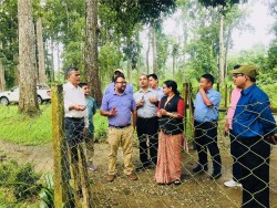 निकुञ्जमा सडक निर्माण गर्न 'डिपिआर' र 'इआइए'को काम अघि बढाइने