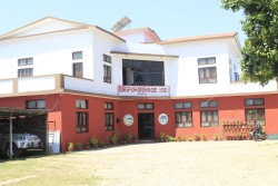 दाङमा तीन लाख बिरुवा तयार, निःशुल्क वितरण गरिने