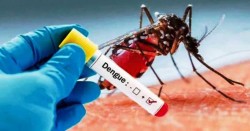 पहाडमा पनि डेङ्गी जोखिमः  बैतडीमा सात जनामा सङ्क्रमण पुष्टि ,सतर्कताका लागि अभियान सुरु