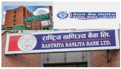 सरकारी तीन बैंकको नाफा बढ्यो, कृषि विकास लाभांश क्षमतामा अग्रणी, नेपाल बैंक वितरणमा असमर्थ
