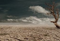 विश्वव्यापी पानी सङ्कट : वर्षात्को पानी सदुपयोग गर्ने वैज्ञानिक उपायको खोजी