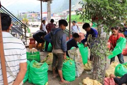 तरकारी बजारले बदलियो फिस्लिङको पहिचान