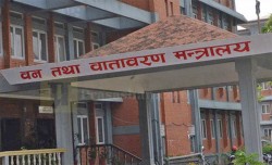 वन पैदावार समितिका कर्मचारी सात महिनादेखि तलबविहीन