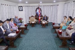 निजामती विधेयकमा उठेका विषयमा छानबिन गर्न सभामुखलाई आग्रह