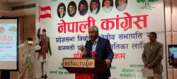  नेपालमा राजतन्त्र फर्किने सम्भावना छैन– सभापति देउवा