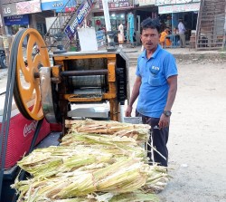गर्मीसँगै उखु जुस व्यापारीको आम्दानी बढ्दै
