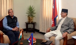 गृहमन्त्री लेखकसँग भारतीय राजदूत श्रीवास्तवको शिष्टाचार भेट