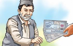 घरदैलोमा पुगेर सामाजिक सुरक्षा भत्ता वितरण