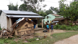 वैकल्पिक पेसा रोज्दै मुसहर समुदाय