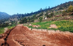 सडकले जोडियो अग्लो बस्ती मुठाचौर 