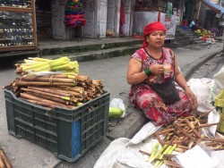 पोखराको कोशेली टुसा