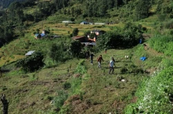 गण्डकीका ३४ स्थानीय तहमा नाफा आयोजना: बाँझो जग्गामा फलफूलखेती विस्तार